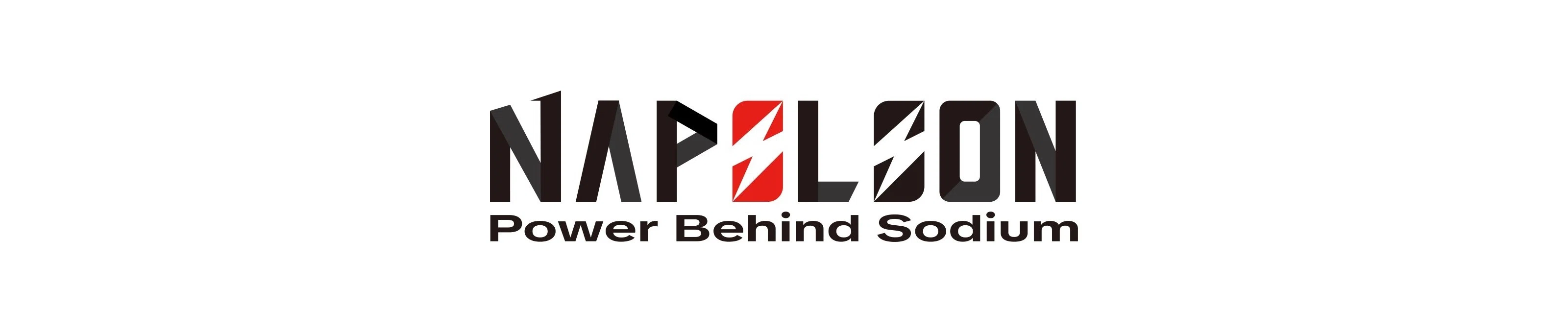 NAPILION trademark for sodium-ion starter batteries.webp NAPILION trademark for sodium-ion starter batteries.webp